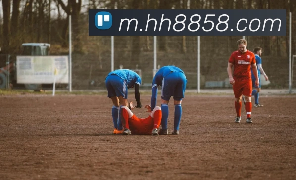 火狐体育官网首页发展历程